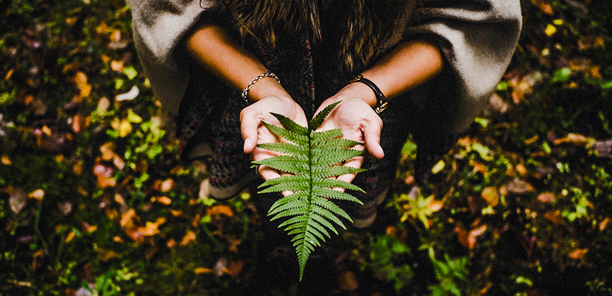 female holding leaf