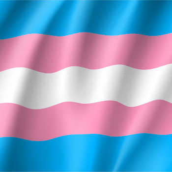 Spotlight story image pertaining to Transgender Flag