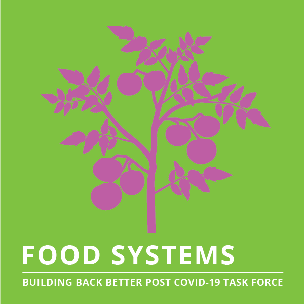 The outline of a tomato plant with the text Food Systems: Building Back Better Post-Covid-19 Task Force
