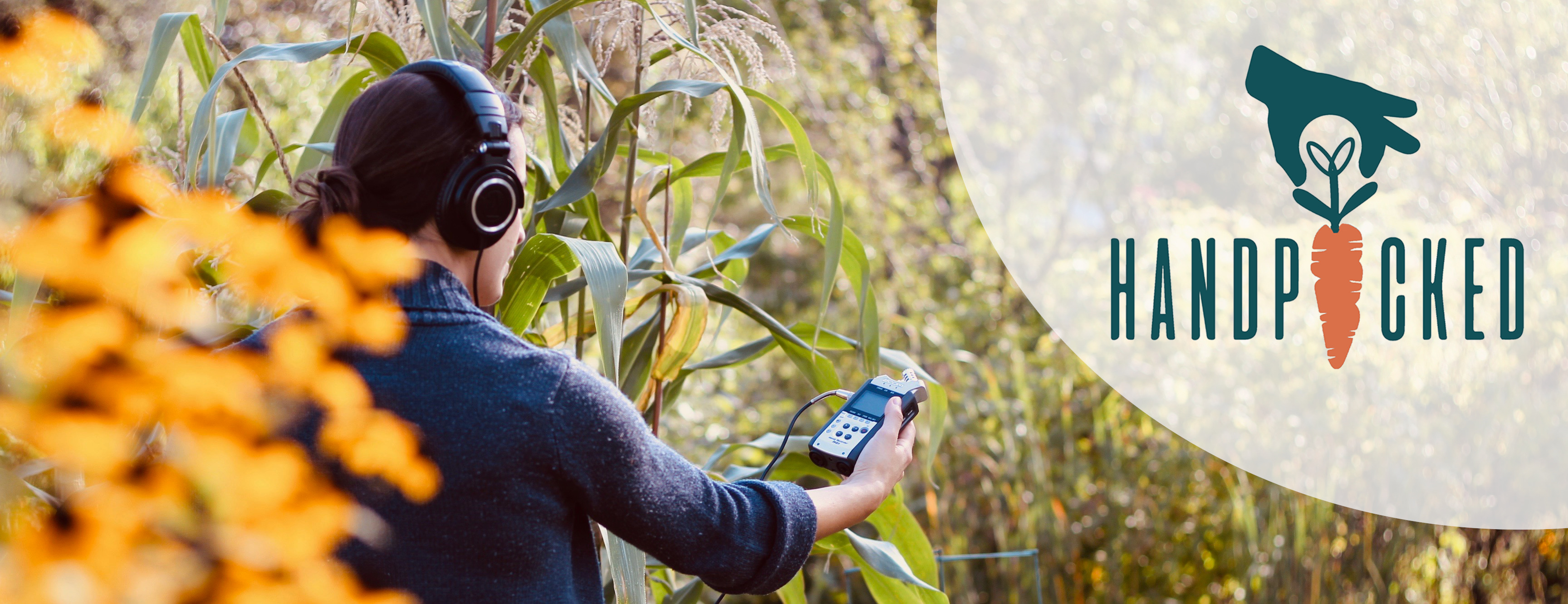 A woman with dark hair in a bun and wearing a sweater and headphones holds a handheld audio recorder while standing in a field with tall green plants