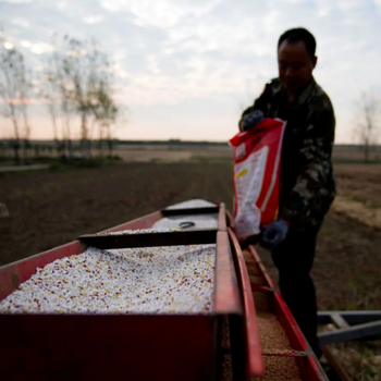 A farmer loads seeds into a seeder with fertiliser, on a wheat field in Nanyang, Henan province, China 