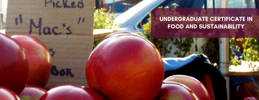 Undergraduate Certificate in Food and Sustainability