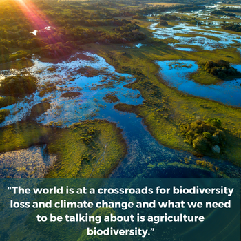 Spotlight story image pertaining to The world is at a crossroads for biodiversity loss and climate change and what we need to be talking about is agriculture biodiversity