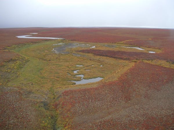 Spotlight story image pertaining to 