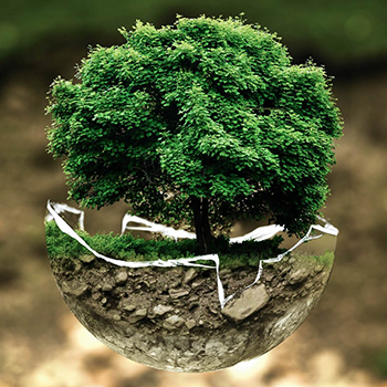 Spotlight story image pertaining to 