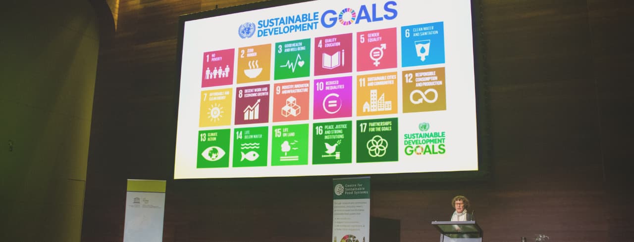 Alison Blay Palmer speaking on stage presenting the Sustainable Development Goals.