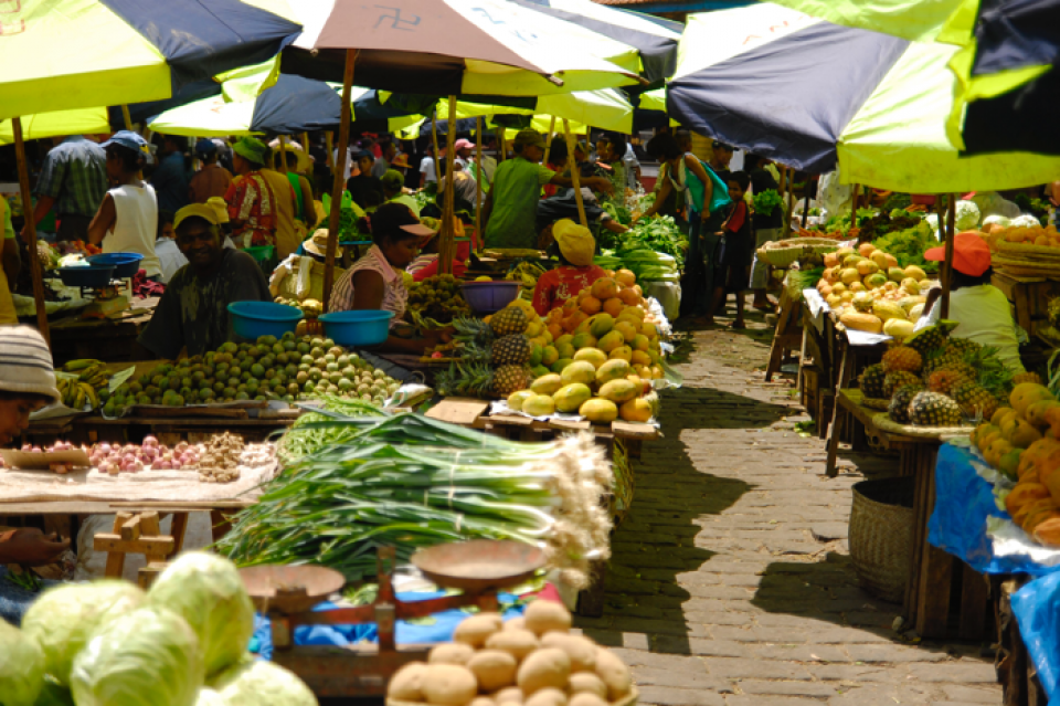 Diverse food market showcasing city region food systems in Antananarivo, Madagascar
