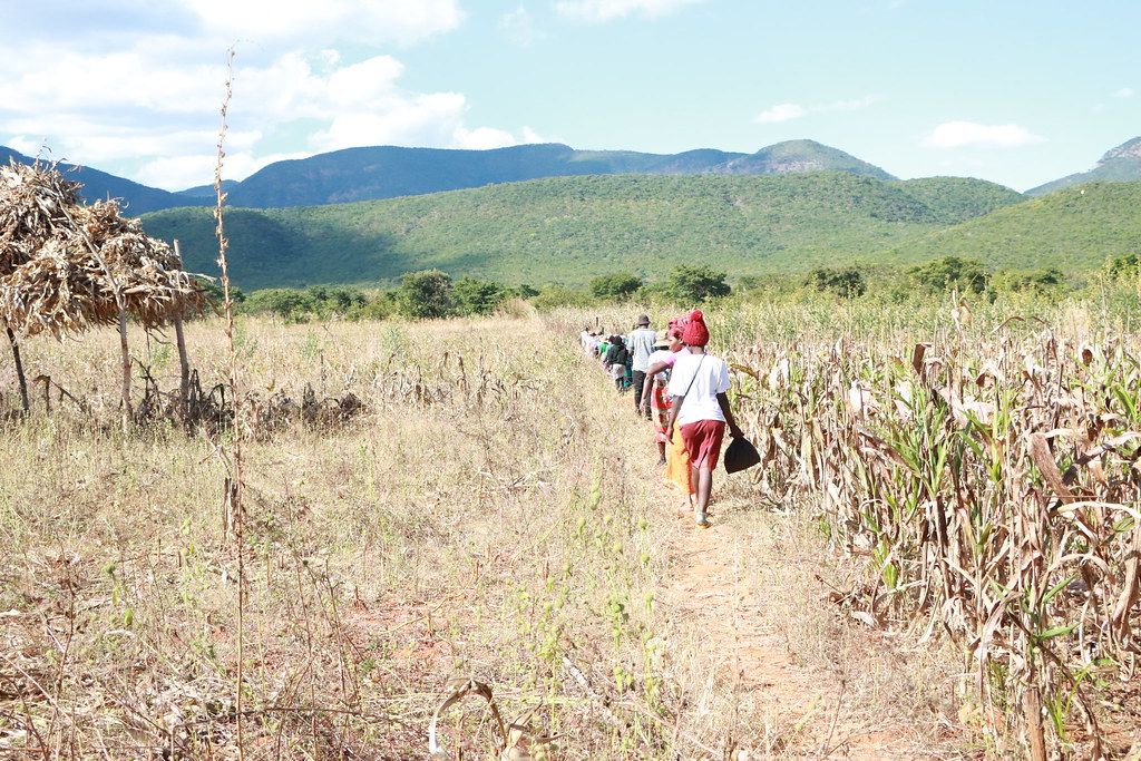 TSURO Trust project - women on field walking