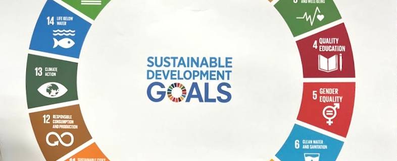 sustainable development goals model chart