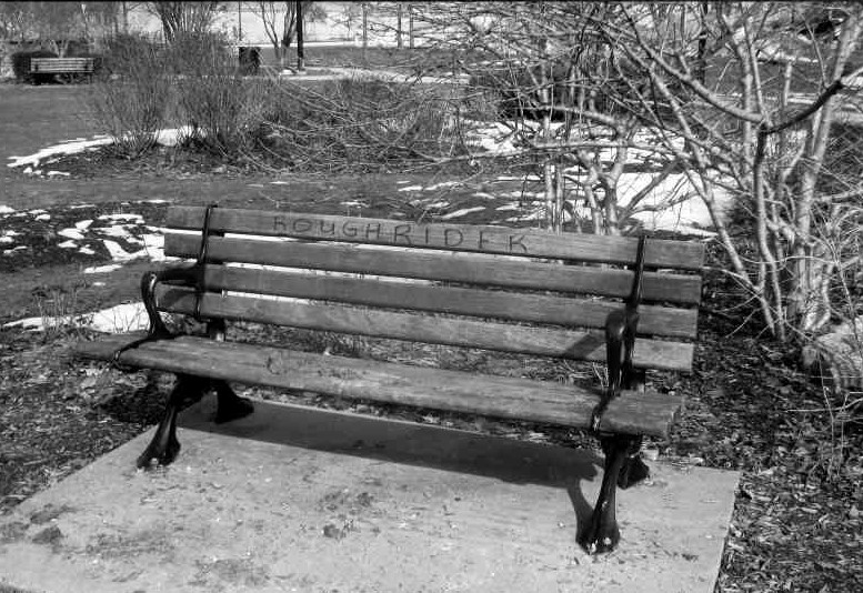 wood and iron park bench