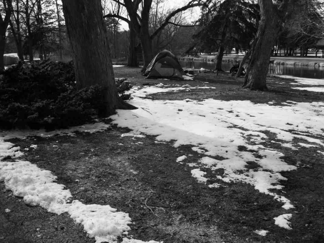 single tent under trees on island