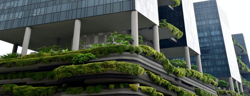 building with lush greenery